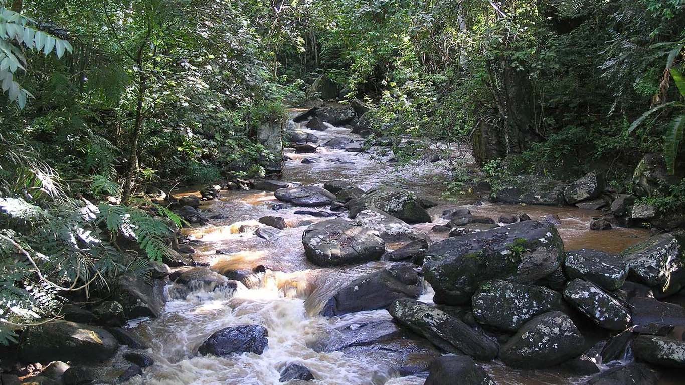 Amani Nature Reserve