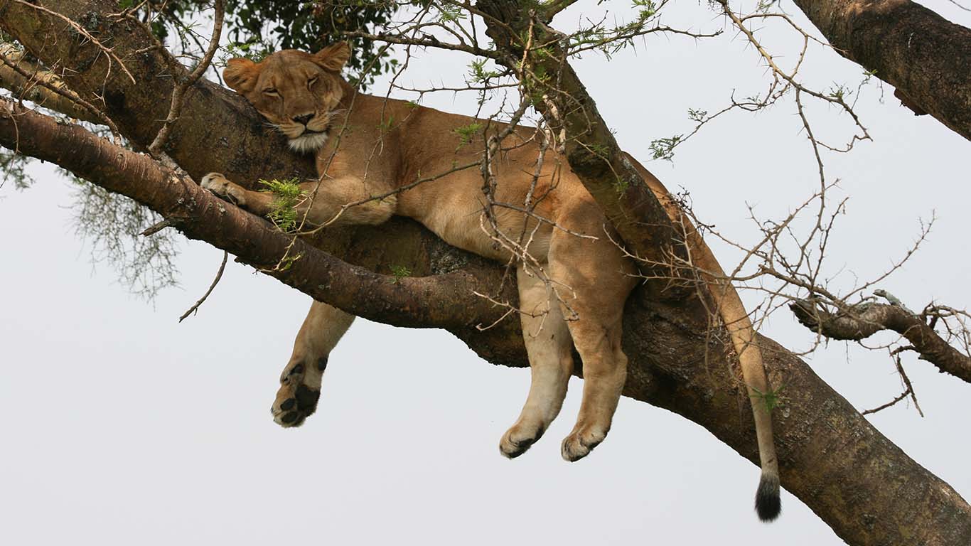 Lake Manyara National Park
